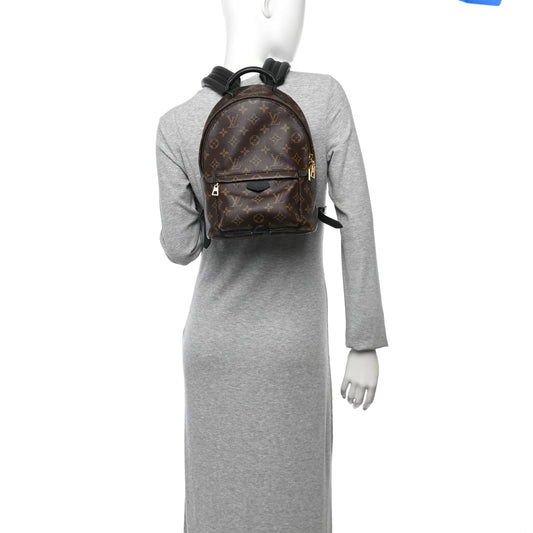 Monogram Palm Springs Backpack PM