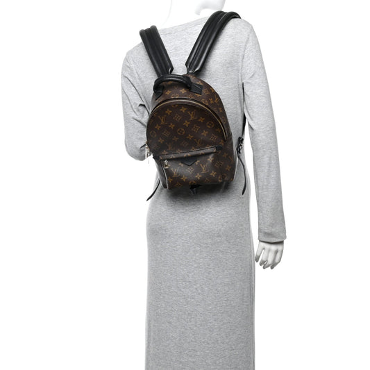 Monogram Palm Springs Backpack PM