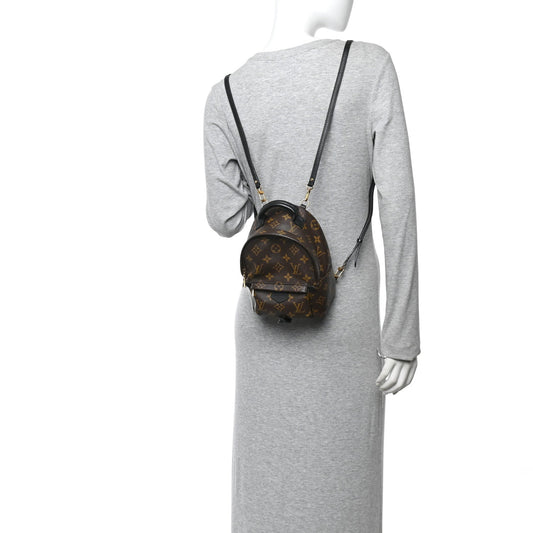 Monogram Palm Springs Backpack Mini