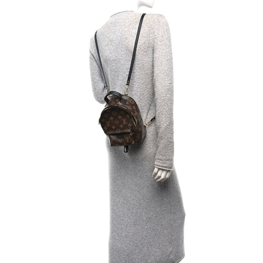 Monogram Palm Springs Backpack Mini