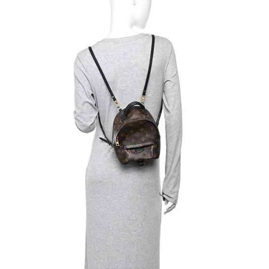 Monogram Palm Springs Backpack Mini