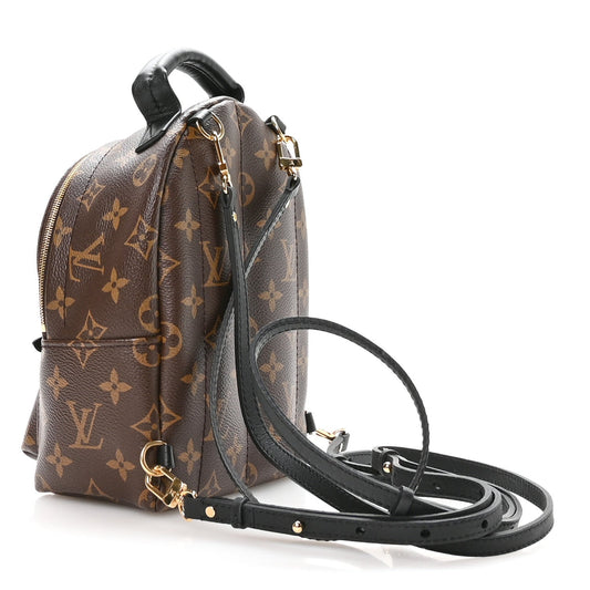 Monogram Palm Springs Backpack Mini