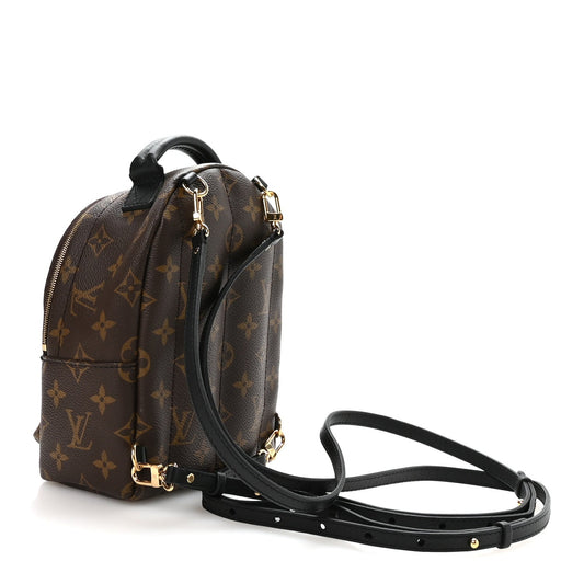 Monogram Palm Springs Backpack Mini
