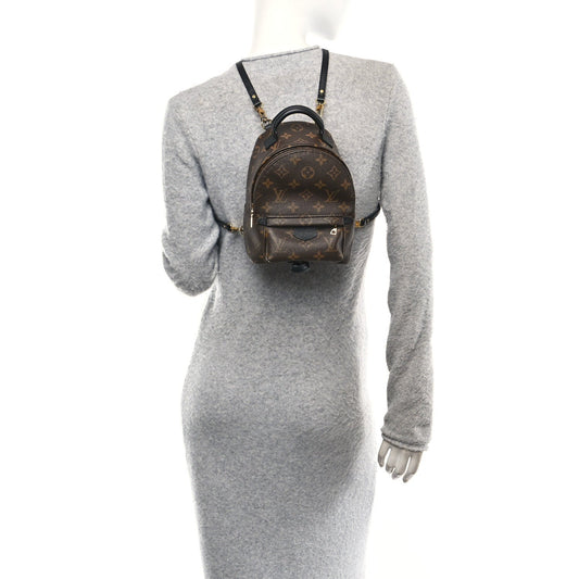 Monogram Palm Springs Backpack Mini