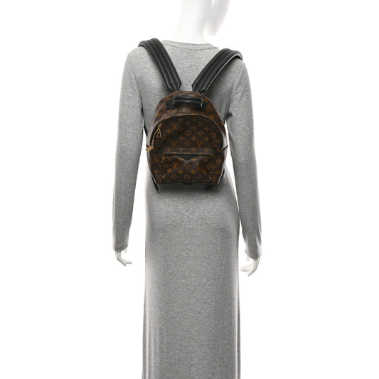 Monogram Palm Springs Backpack PM