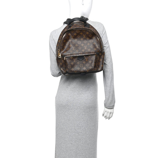 Monogram Palm Springs Backpack MM