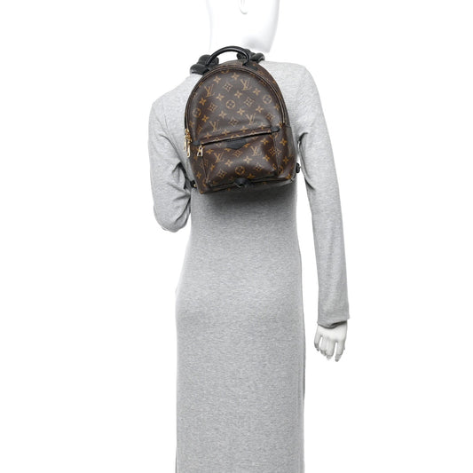 Monogram Palm Springs Backpack PM