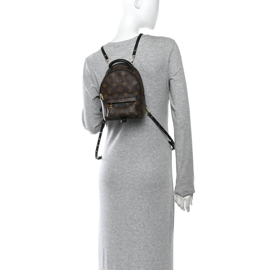 Monogram Palm Springs Backpack Mini