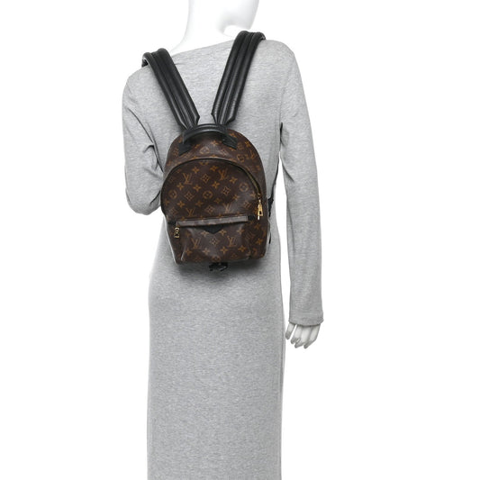 Monogram Palm Springs Backpack PM