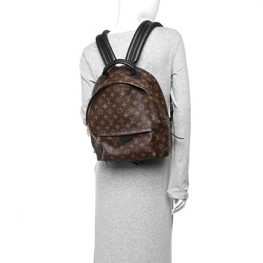 Monogram Palm Springs Backpack MM