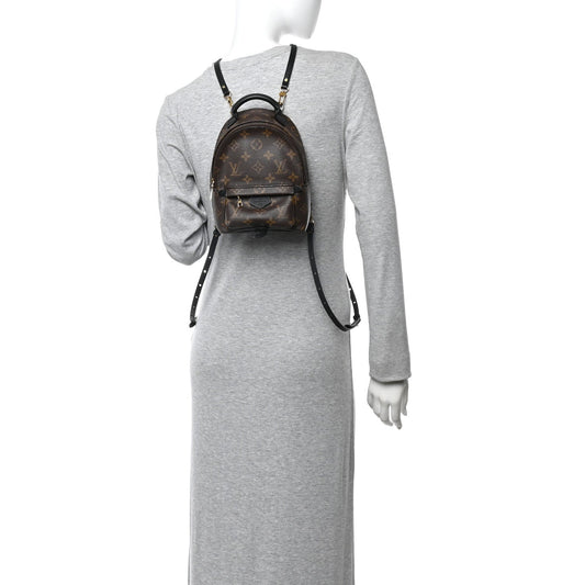 Monogram Palm Springs Backpack Mini