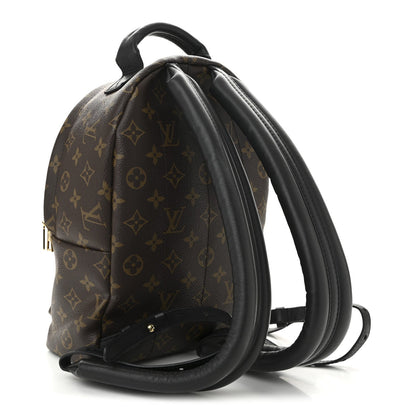 Monogram Palm Springs Backpack PM