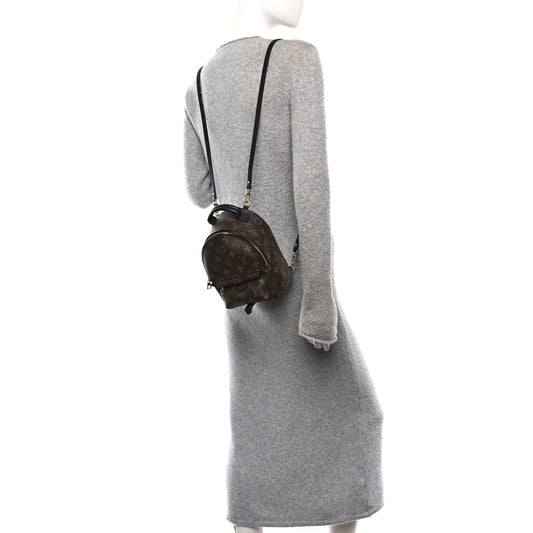 Monogram Palm Springs Backpack Mini