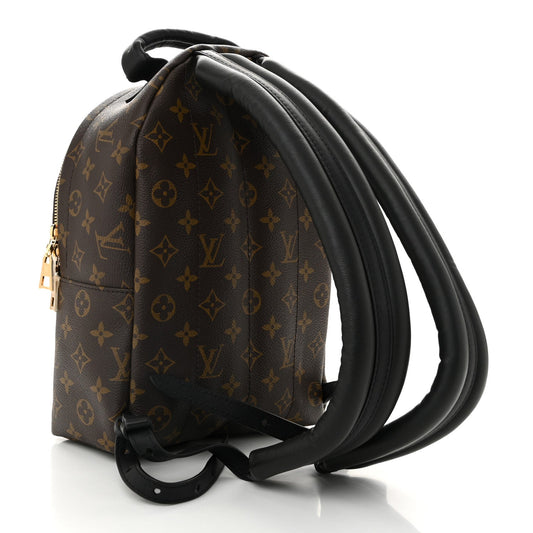 Reverse Monogram Palm Springs Backpack PM