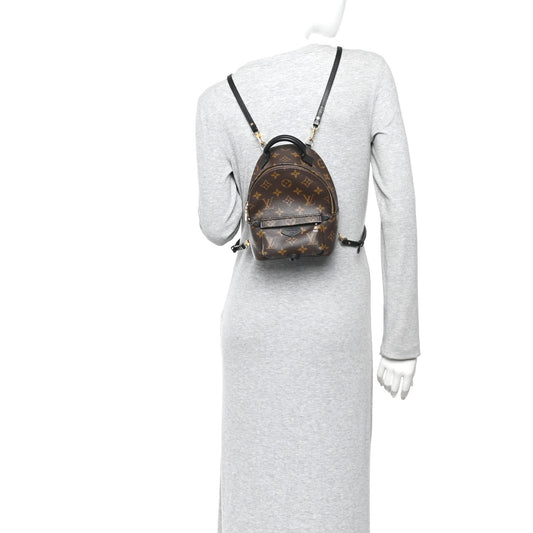 Monogram Palm Springs Backpack Mini