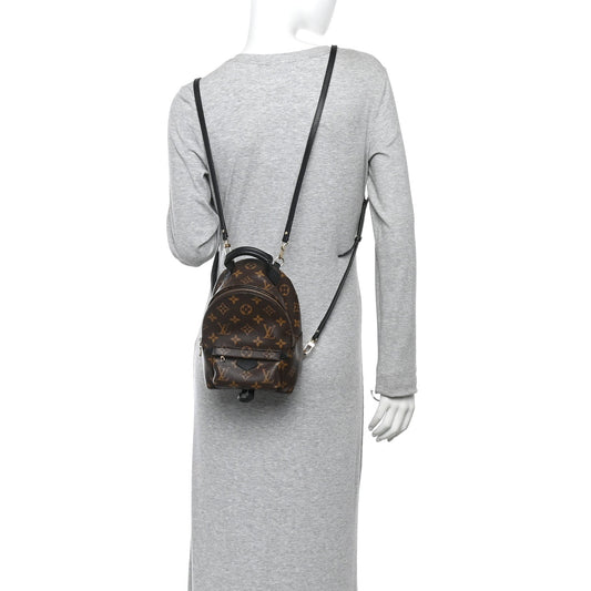 Monogram Palm Springs Backpack Mini
