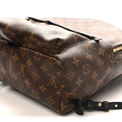 Monogram Palm Springs Backpack MM