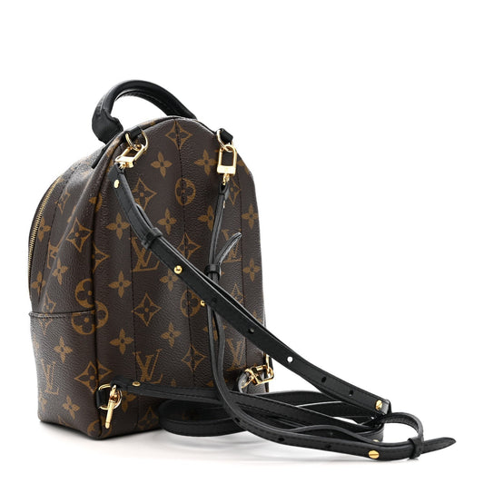 Monogram Palm Springs Backpack Mini