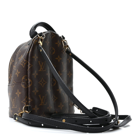 Monogram Palm Springs Backpack Mini