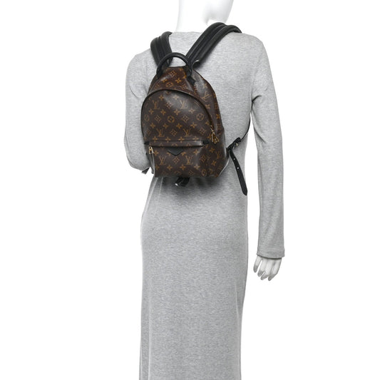 Monogram Palm Springs Backpack PM
