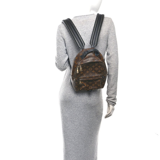 Monogram Palm Springs Backpack PM