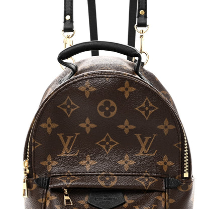 Monogram Palm Springs Backpack Mini