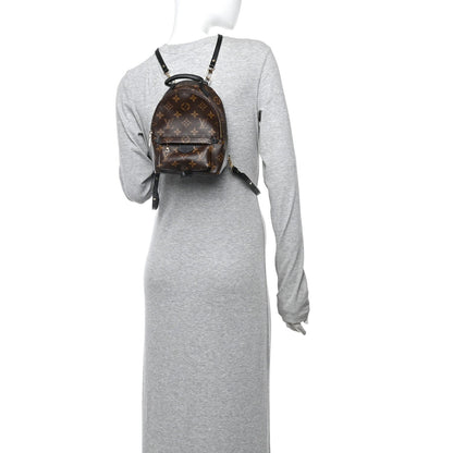 Monogram Palm Springs Backpack Mini