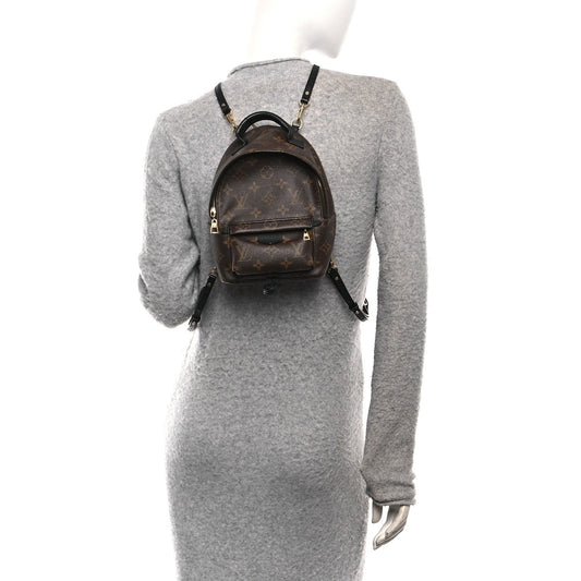 Monogram Palm Springs Backpack Mini