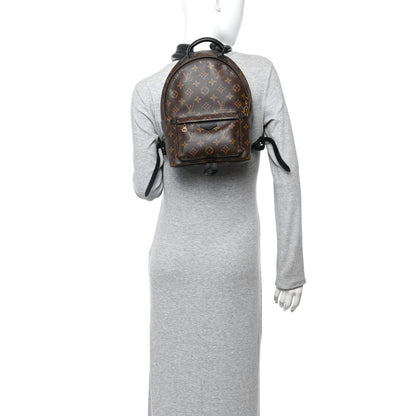 Monogram Palm Springs Backpack PM