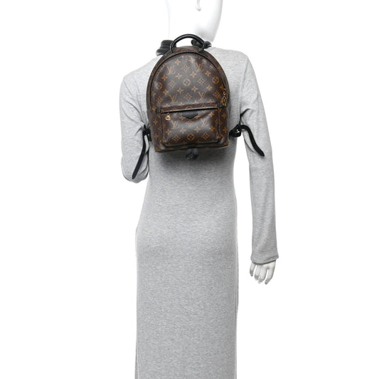 Monogram Palm Springs Backpack PM